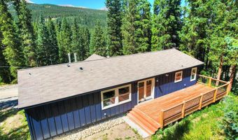 476 COUNTY ROAD 674, Breckenridge, CO 80424