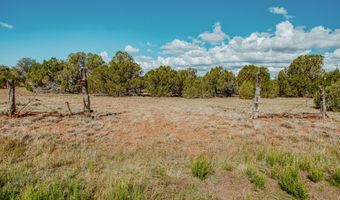 Pulp Mill Road, Clay Springs, AZ 85923