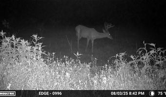 Hwy 9, Bruce, MS 38915