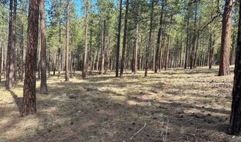 31760 HWY 10 W, Alberton, MT 59820