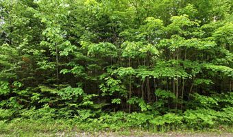 Porter Road, Bath, NH 03740