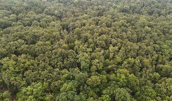 County Road Jj-416, Ava, MO 65608