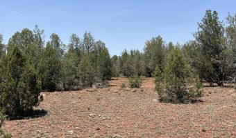 164 Rattlesnake Rd, Ash Fork, AZ 86320