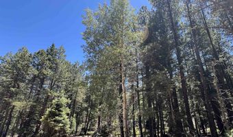 Alpine Lake Way Lot 3 Blk E, Angel Fire, NM 87710