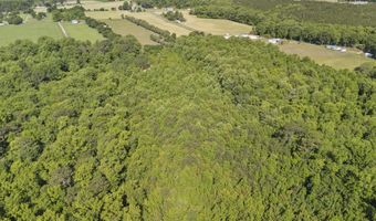127 Nicodemus Kornegay Ln, Albertson, NC 28508