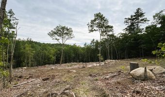 Rines Road 49, Alton, NH 03809