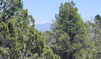 Lot 13 Ranch And Cattle, Ash Fork, AZ 86320