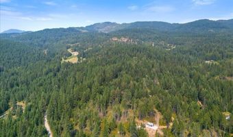 1040 Salee Creek Rd, Athol, ID 83801