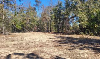 Tommy Tucker Road lot 2, Altha, FL 32421