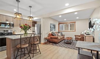 820 COLUMBINE Rd 20, Breckenridge, CO 80424