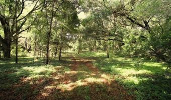 15422 SW 50TH Ave, Archer, FL 32618