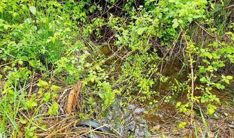 1895 TBD BLUE CREEK ROAD Rd, Addy, WA 99101