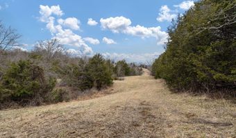 Smithtown Road, Afton, TN 37616
