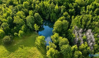58 Acres Naples Ln, Arab, AL 35016