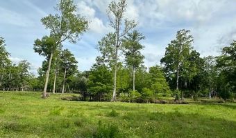 TBD CORKWOOD LANE, Astatula, FL 34705