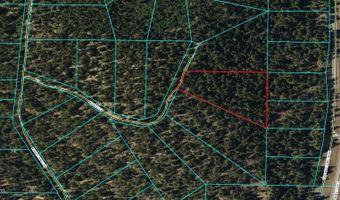 Whale Lane lot 36, Bonanza, OR 97623