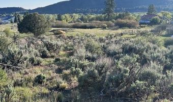 Lot 15 Primrose Lane, Bayfield, CO 81122