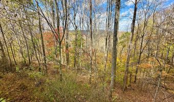 595 Rock Creek Ridge Rd, Bakersville, NC 28705