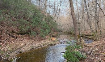 PAYNES POND RD, Arvonia, VA 23004