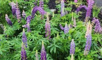 1571 State Highway 7, Afton, NY 13730