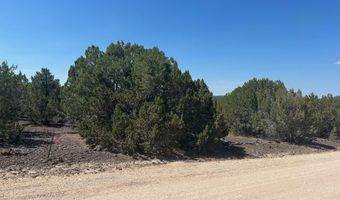 Lot 11 Uphill Trail 11, Vernon, AZ 85940