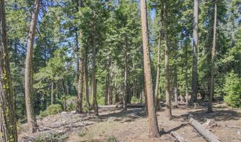 403 Sierra Pkwy, Camp Connell, CA 95223