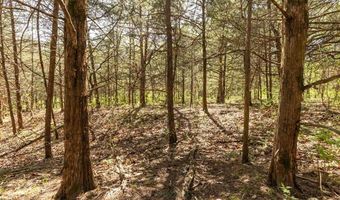 TBD 194th Avenue, Argyle, IA 52619