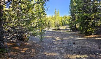 PCS # 7765 & 12057 Rollies Trail lot 0, Alma, CO 80420