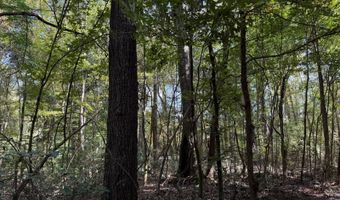 971 Somerset Rd SE, Bogue Chitto, MS 39629