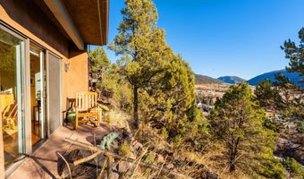 506 Wild Spring Ln, Basalt, CO 81621