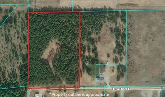 1663 E Silver Spur Rd, Athol, ID 83801