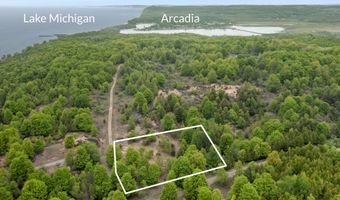 15380 Lake Bluff Dr, Arcadia, MI 49613