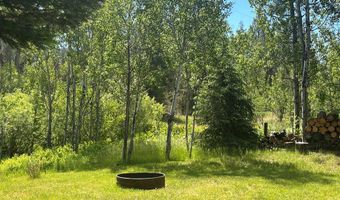 32 Shay Rd, Cascade, ID 83611