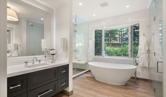 971 Ute Ave, Aspen, CO 81611