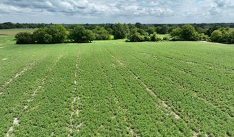 290 CR, Asbury, MO 64832