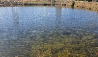 1228 River Rd, Ariton, AL 36311