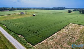 30 Acres Stevenson Rd, Ardmore, TN 38449