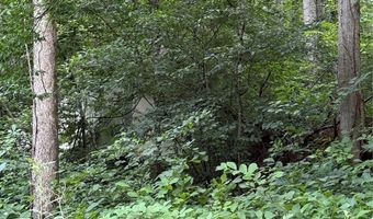 99999 Paint Fork Rd, Barnardsville, NC 28709