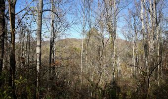 595 Rock Creek Ridge Rd, Bakersville, NC 28705