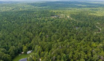 Burks Mountain Road, Appling, GA 30802