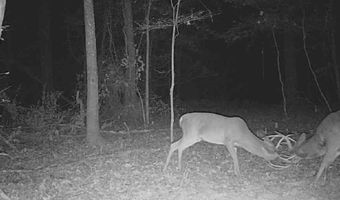 1 8 Miles Due South Down Anding Oil City Rd, Bentonia, MS 39040