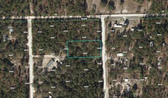 NW 116th Ave lot 10, Bell, FL 32619
