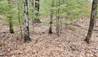 N Forest Lake Drive, Alger, MI 48610