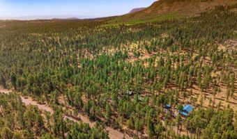 56 Co Rd 2266, Alpine, AZ 85920