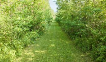 2882 School Rd, Alger, MI 48610