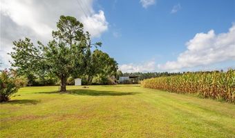 596 Teakwood Rd, Alma, GA 31510