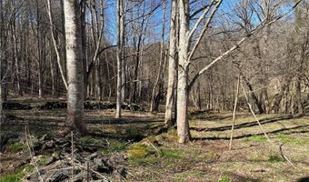 Lot 4 Larkspur Trail, Banner Elk, NC 28604