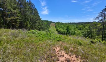 County Road 38, Autaugaville, AL 36003