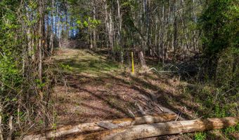 Back Nine Drive lot 13, Baneberry, TN 37890