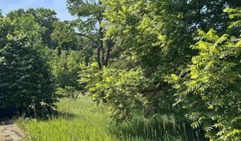 7931 NW Dundas Rd, Alden, MI 49612